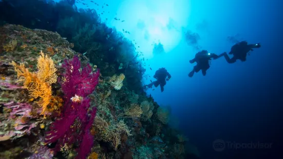 B-24 Diving Center