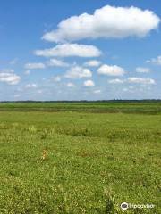 Lake Nokomis Cranberries, Inc.