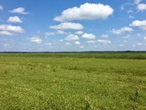 Lake Nokomis Cranberries