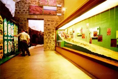 Museum Guayadeque