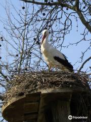 Tierpark Lange Erlen / Erlen-Verein Basel