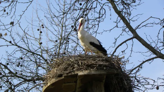 Tierpark Lange Erlen