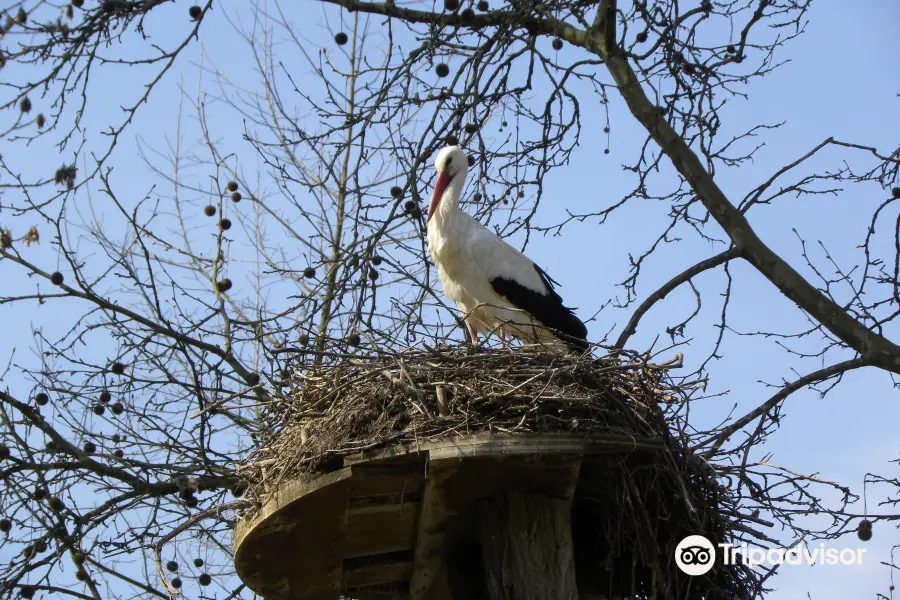 Tierpark Lange Erlen