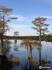 Singletary Lake State Park