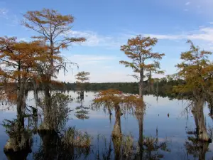 Singletary Lake State Park