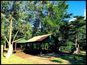 Recreational Forest Reserve of Valverde Eng. Emiliano Costa