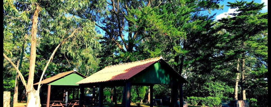 Recreational Forest Reserve of Valverde Eng. Emiliano Costa