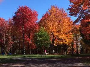 Parc du Centenaire