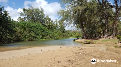 Hanamaulu Beach