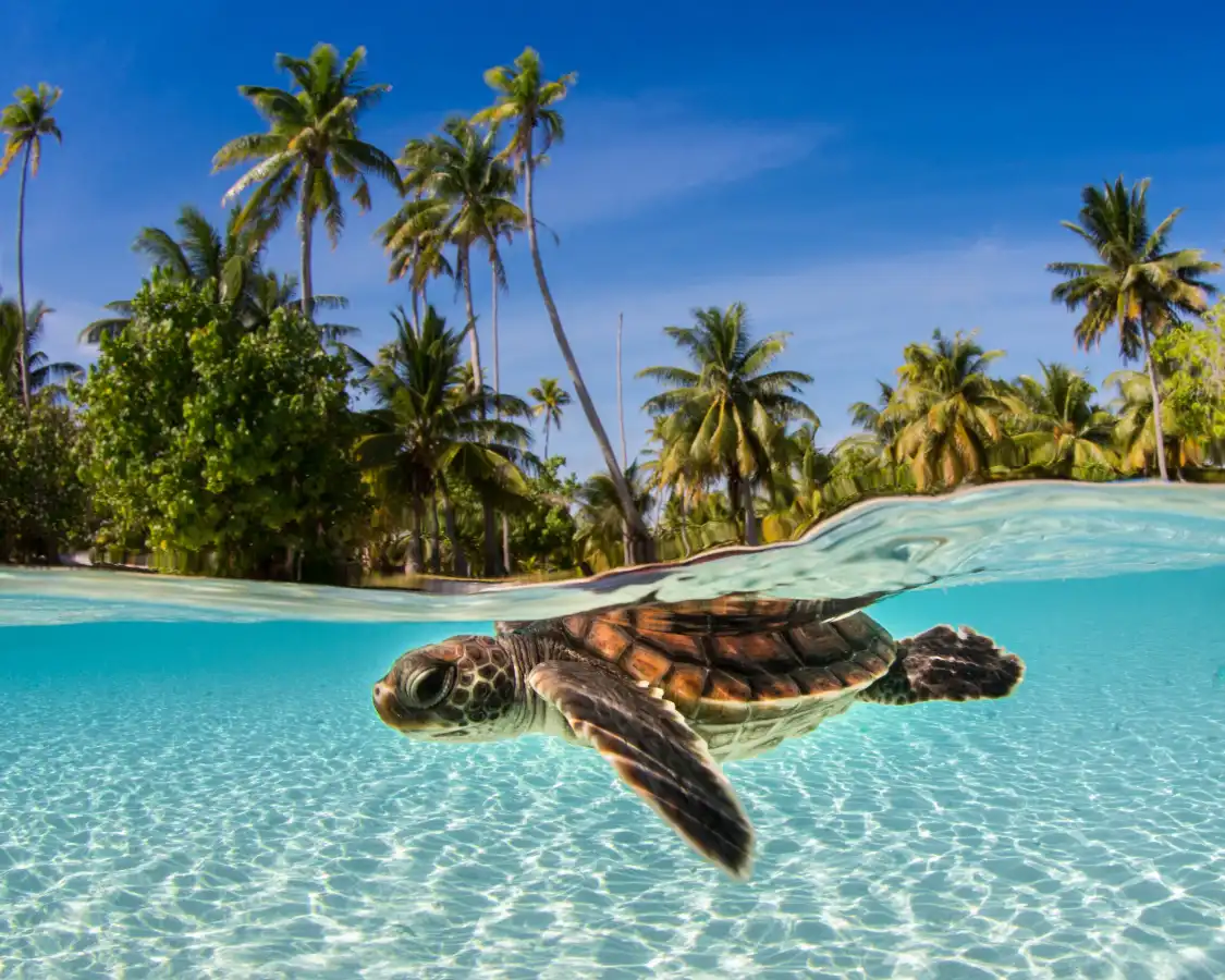Hotels near Phoenix Yacht Group - Yacht and Villa Provisioning St Thomas
