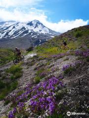 Hood River Mountain Bike Adventures