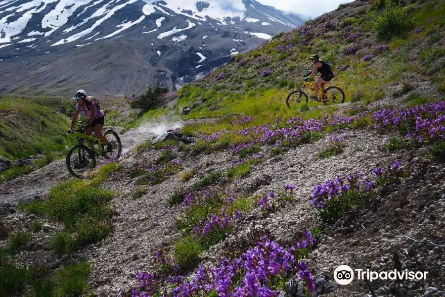 Hood River Mountain Bike Adventures