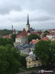 Tallinn by Foot