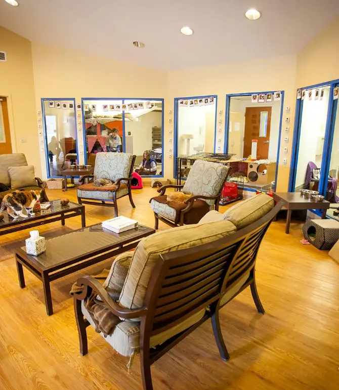 East Amwell Township