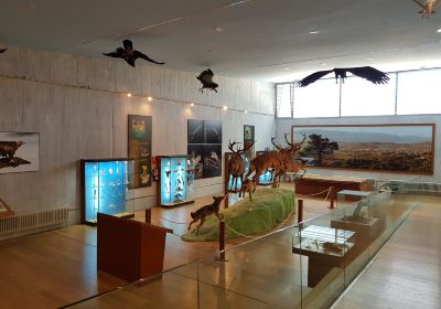 Museo De La Naturaleza Valle Del Alberche