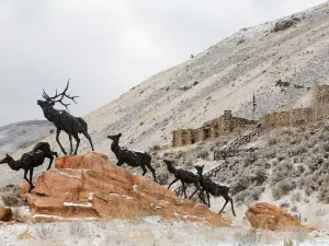 National Museum of Wildlife Art