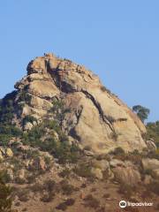 The Lion Rock Mountain