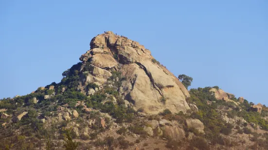 The Lion Rock Mountain