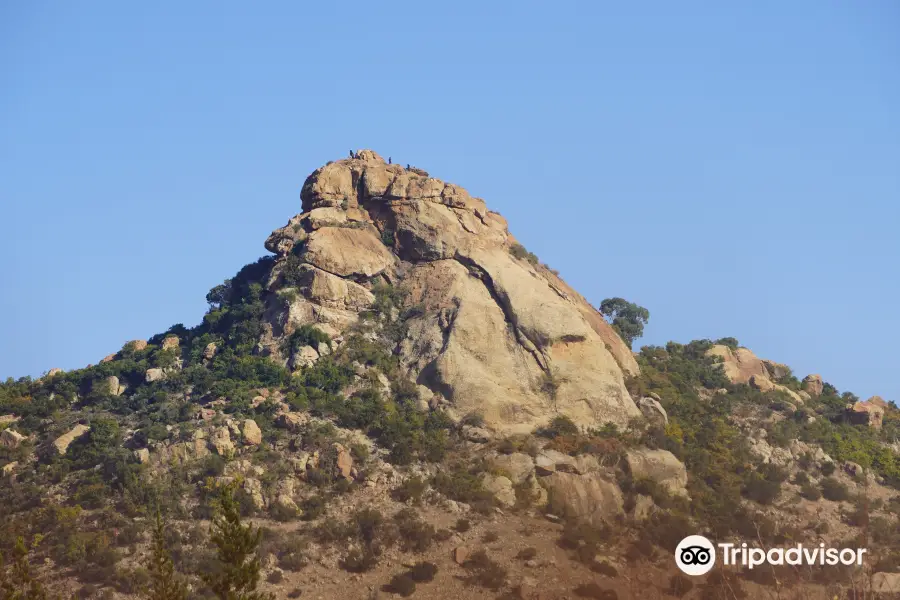 The Lion Rock Mountain
