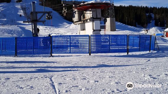 Skillevollen alpine Corporation