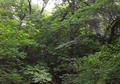 Villages of Bear Creek Park