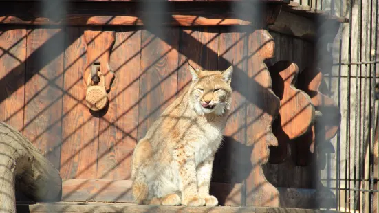 Lesnaya Skazka, Park Otdykha Imeni Alekseya Yeliseyeva