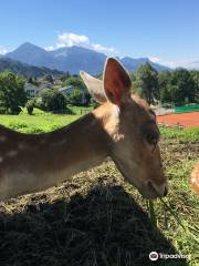 ドッペルマイヤー動物園