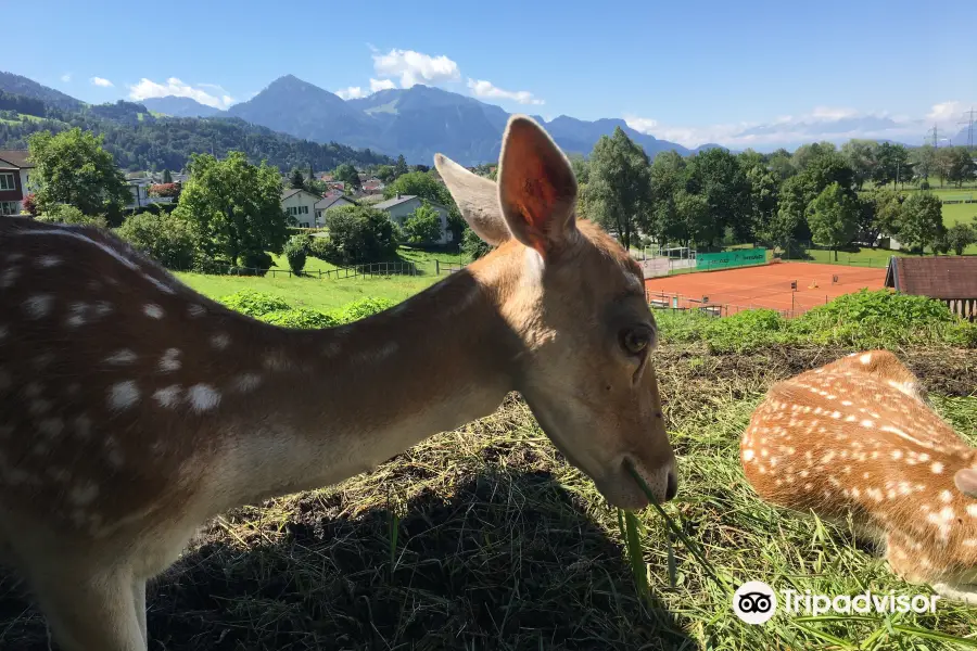 Doppelmayer Zoo