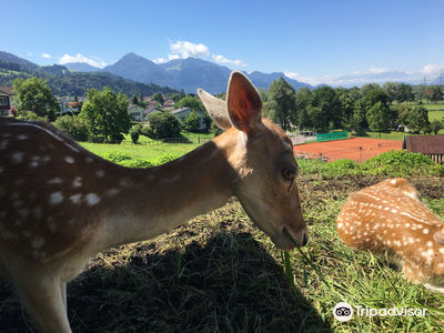 ドッペルマイヤー動物園