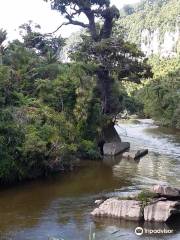 Pororari River Track