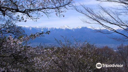 光城山