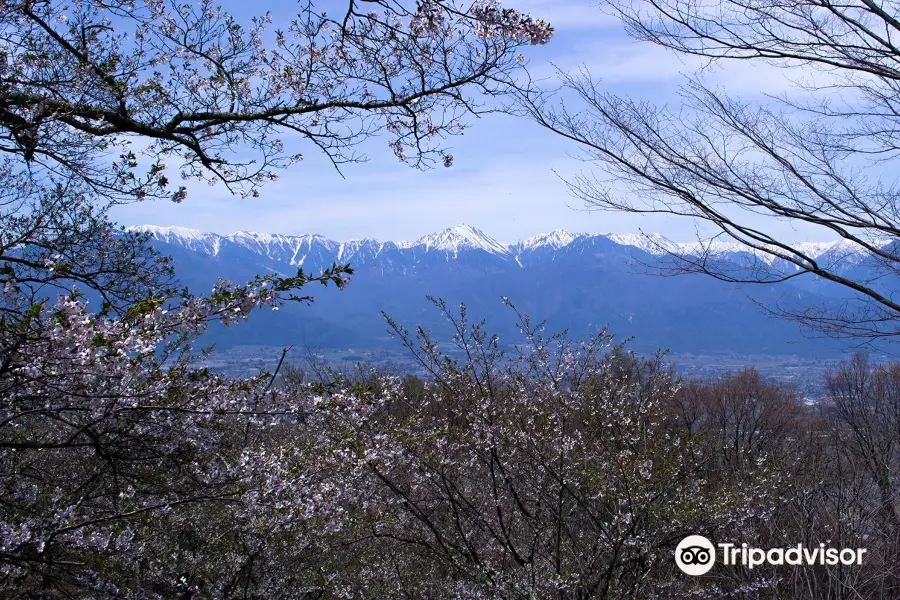 光城山