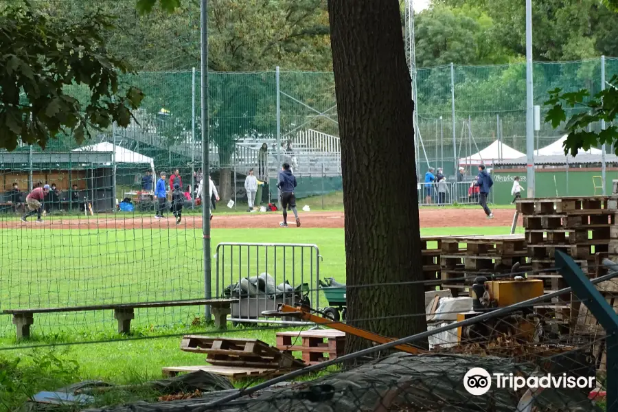 Ballpark Spenadlwiese