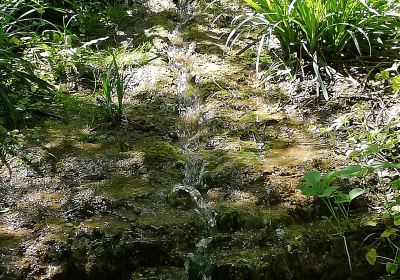 Jardin de la Biodiversite