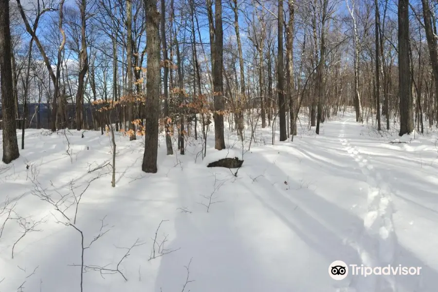 Metacomet-Monadnock Trail