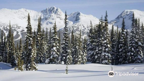 Gulmarg Wildlife Sanctuary