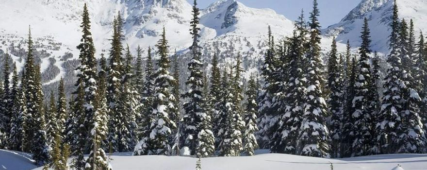 Gulmarg Wildlife Sanctuary