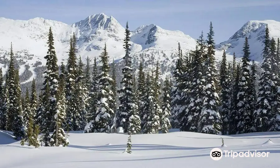 Gulmarg Wildlife Sanctuary