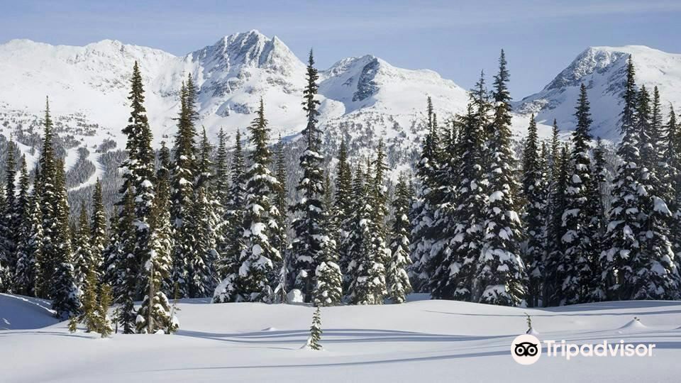 Gulmarg Wildlife Sanctuary