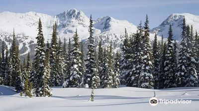 Gulmarg Wildlife Sanctuary