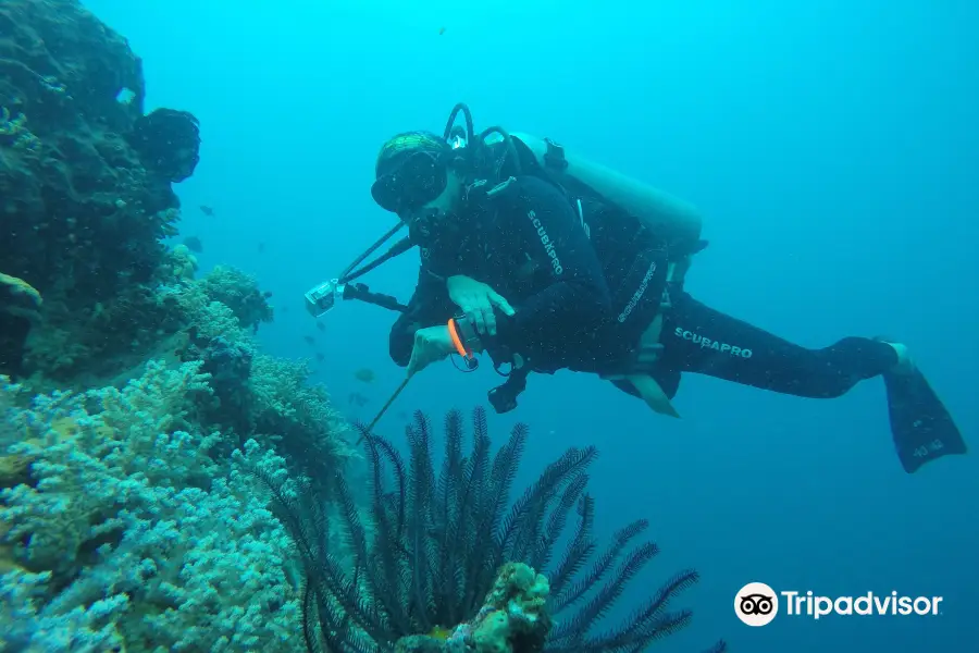 Fun Fun Adventures Dive Center