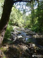 Termas Prexigueiro