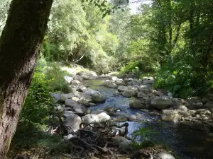 Termas Prexigueiro