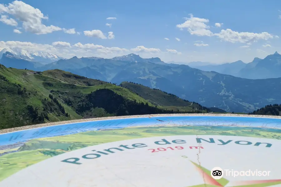 Lac de Joux Plane