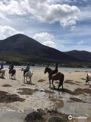 Croagh Patrick Stables