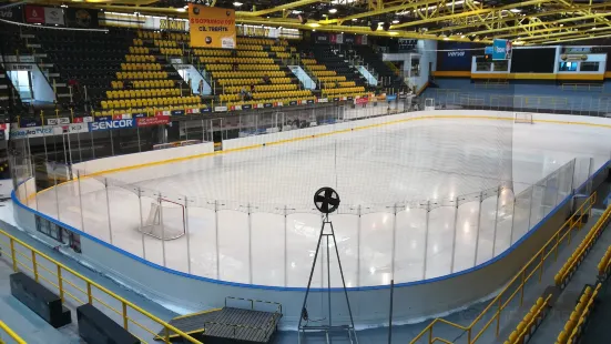 Ivan Hlinka Ice Rink