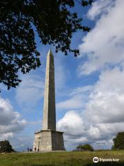 Wellington Monument