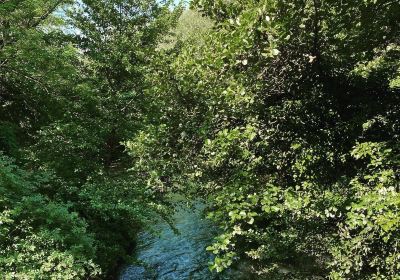 Parco Fluviale del Nera