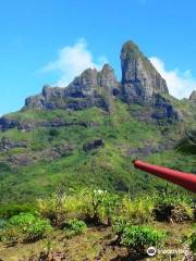 Natura Discovery Bora Bora