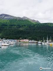 Seward Boat Harbor